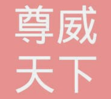 系统成功案例-----成都尊威天下网络科技有限公司