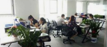 系统成功案例-----潍坊奥莱财税咨询有限公司